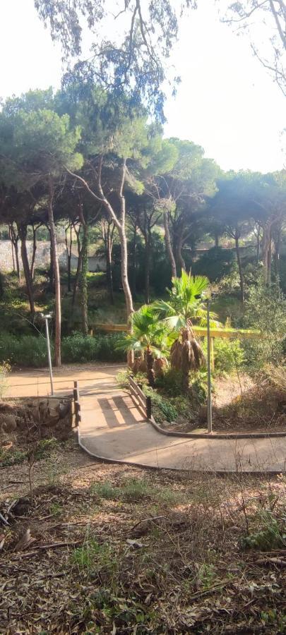 Beach Forest Paradise Marbella Exterior foto