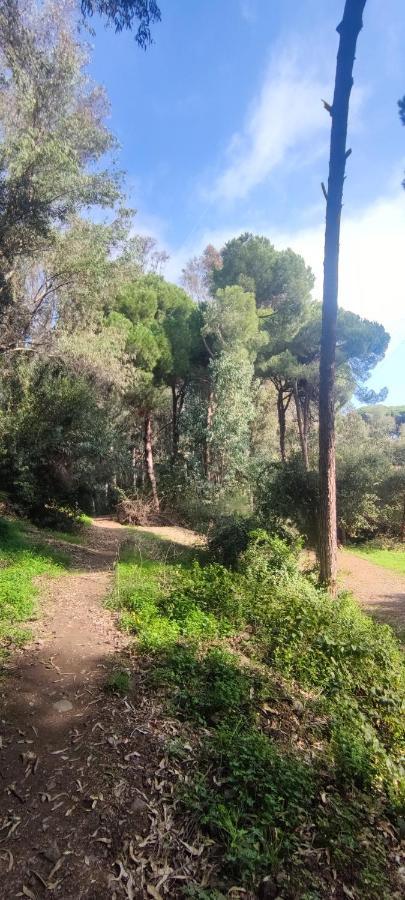 Beach Forest Paradise Marbella Exterior foto